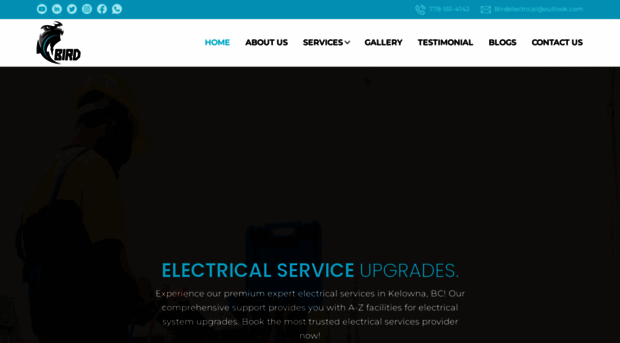 birdelectricalsolutions.com
