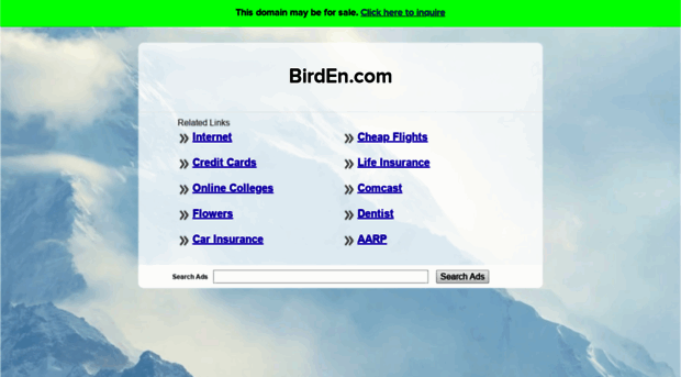 birden.com