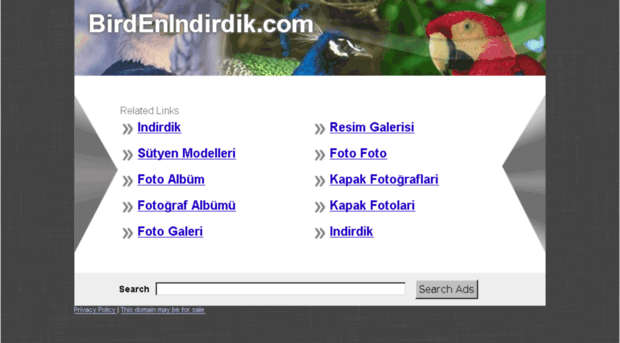 birdenindirdik.com