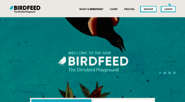 birdfeed.dirtybirdrecords.com
