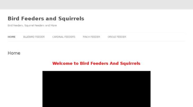 birdfeedersandsquirrels.com