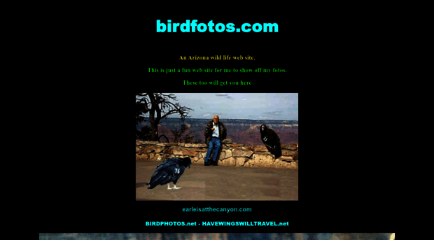 birdfotos.com