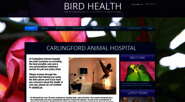 birdhealth.com.au