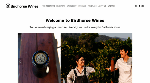 birdhorsewines.com