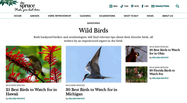 birding.about.com