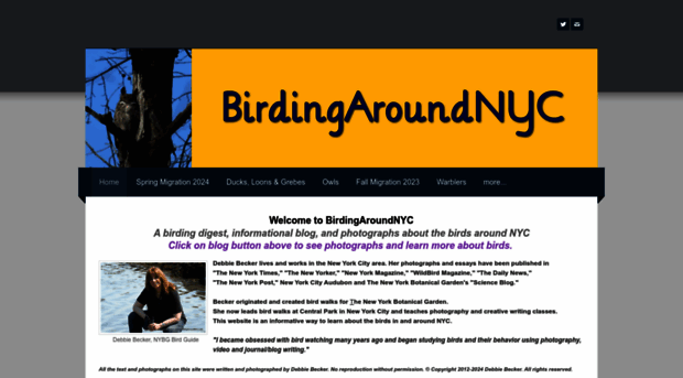 birdingaroundnyc.com