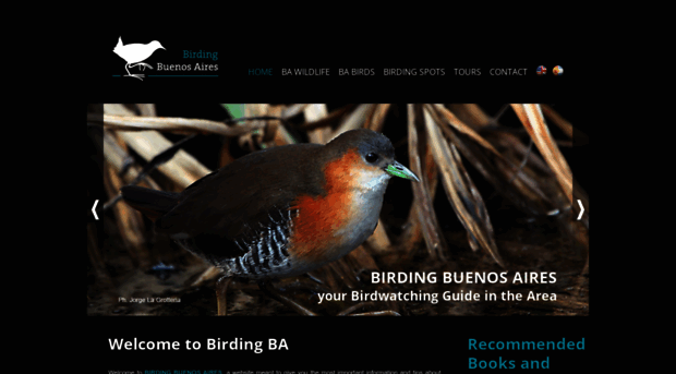 birdingbuenosaires.com