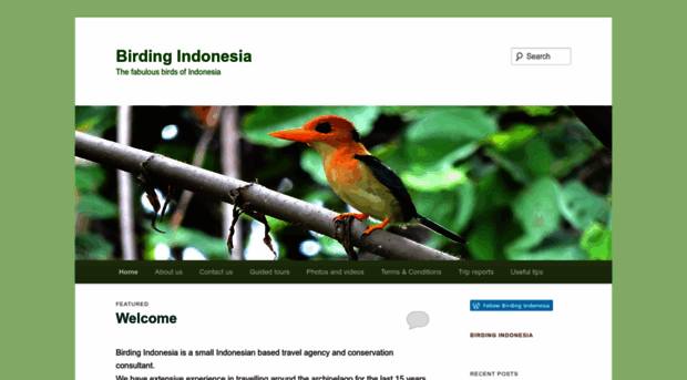 birdingindonesia1.wordpress.com