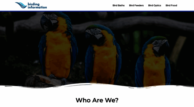 birdinginformation.com