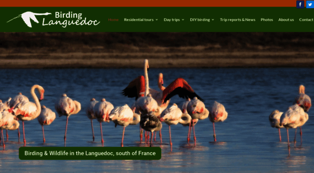 birdinglanguedoc.com