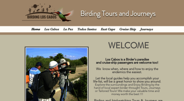 birdingloscabos.com