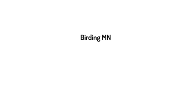 birdingmn.com