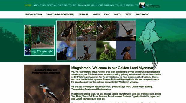 birdingmyanmar.com