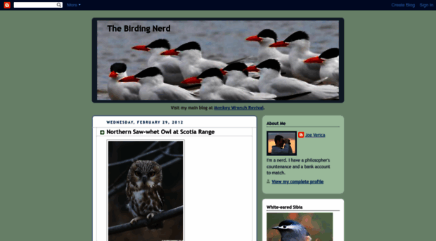 birdingnerd.blogspot.com