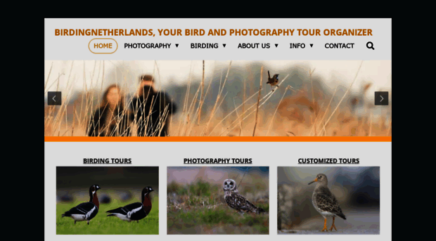 birdingnetherlands.com