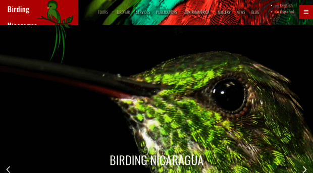 birdingnicaragua.com
