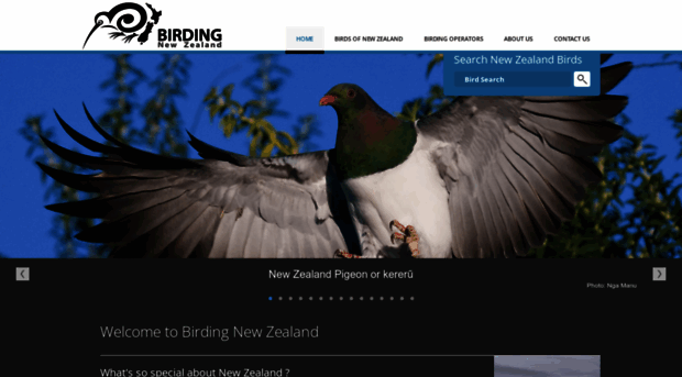 birdingnz.co.nz