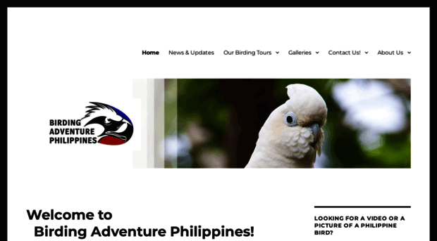 birdingphilippines.com