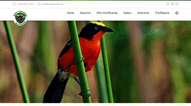 birdingrwanda.com