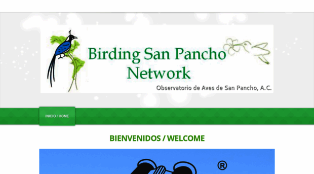 birdingsanpancho.net