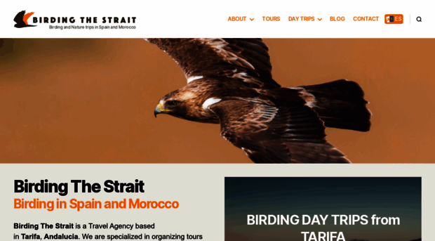 birdingthestrait.com