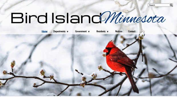 birdislandcity.com