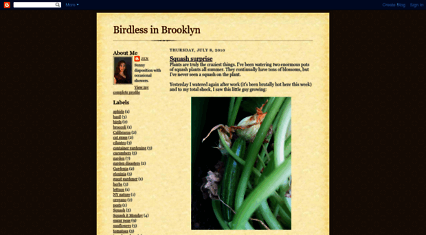 birdlessinbrooklyn.blogspot.com