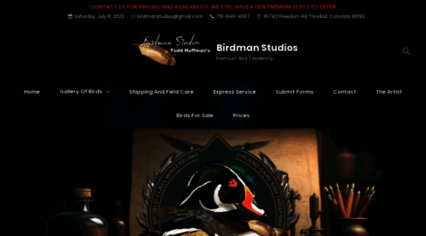 birdmanstudios.com