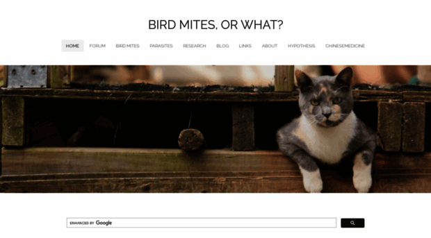 birdmitesorwhat.weebly.com