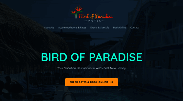 birdofparadisenj.com