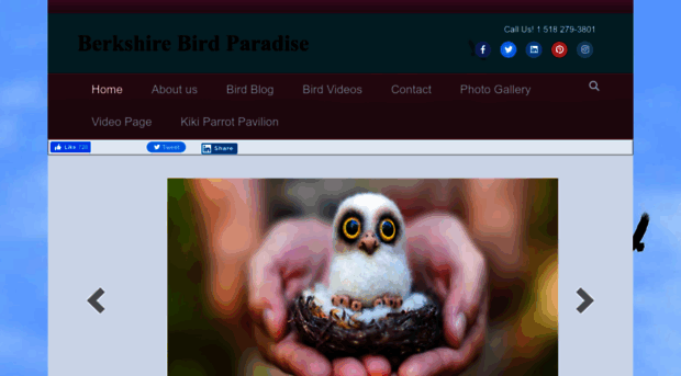 birdparadise.org