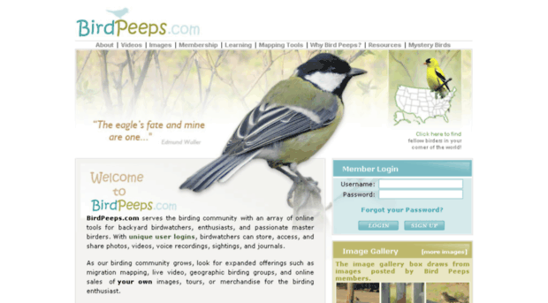 birdpeeps.com