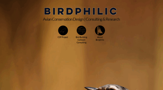 birdphilic.com