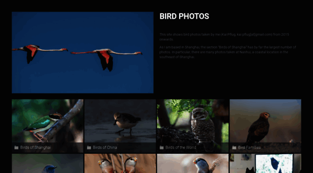 birdphotos.smugmug.com