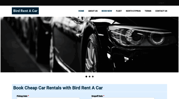 birdrentacar.com