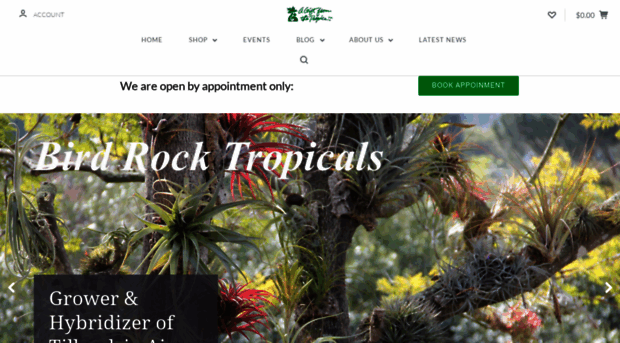 birdrocktropicals.com