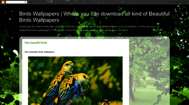 birds-walpaper.blogspot.com