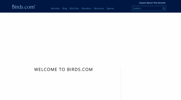 birds.com