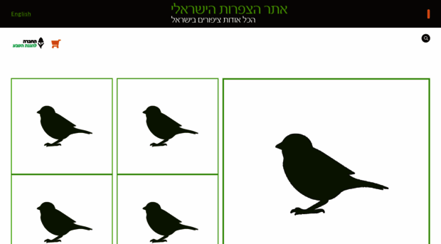 birds.org.il