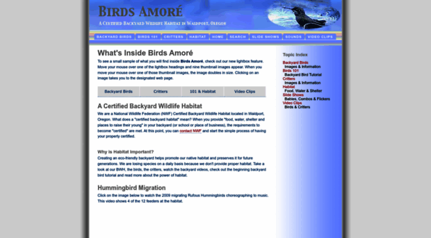 birdsamore.com