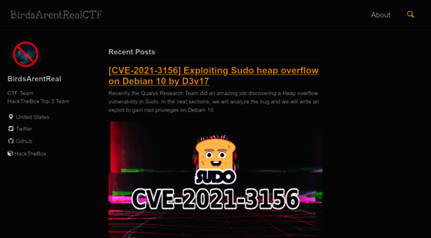 birdsarentrealctf.dev