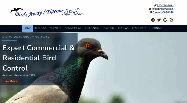 birdsaway.com