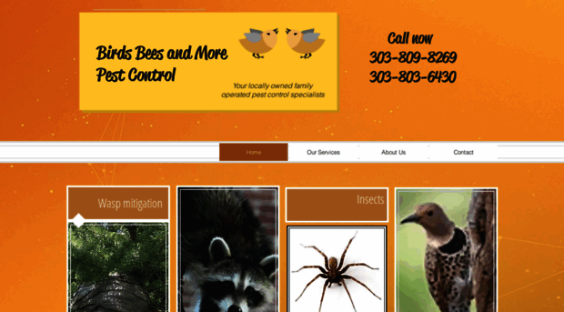 birdsbeesandmore.com