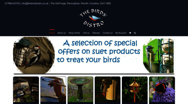 birdsbistro.co.uk