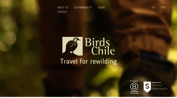 birdschile.com