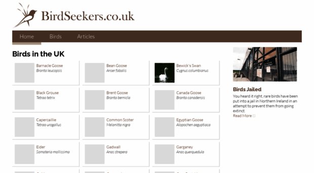 birdseekers.co.uk