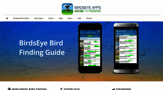 birdseyebirding.com