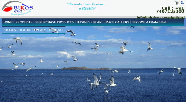 birdseyemarketing.in