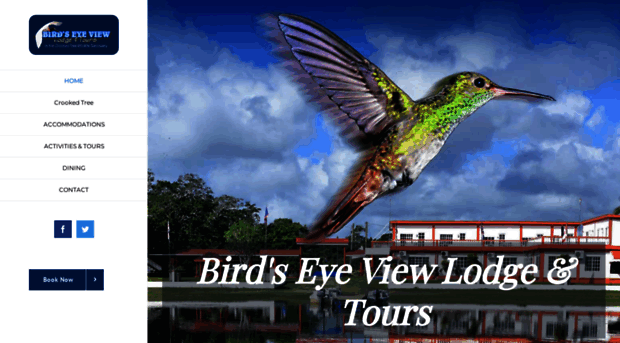 birdseyeviewbelize.com