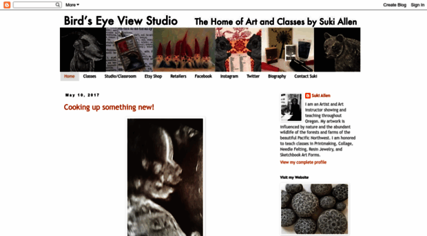 birdseyeviewstudio.com